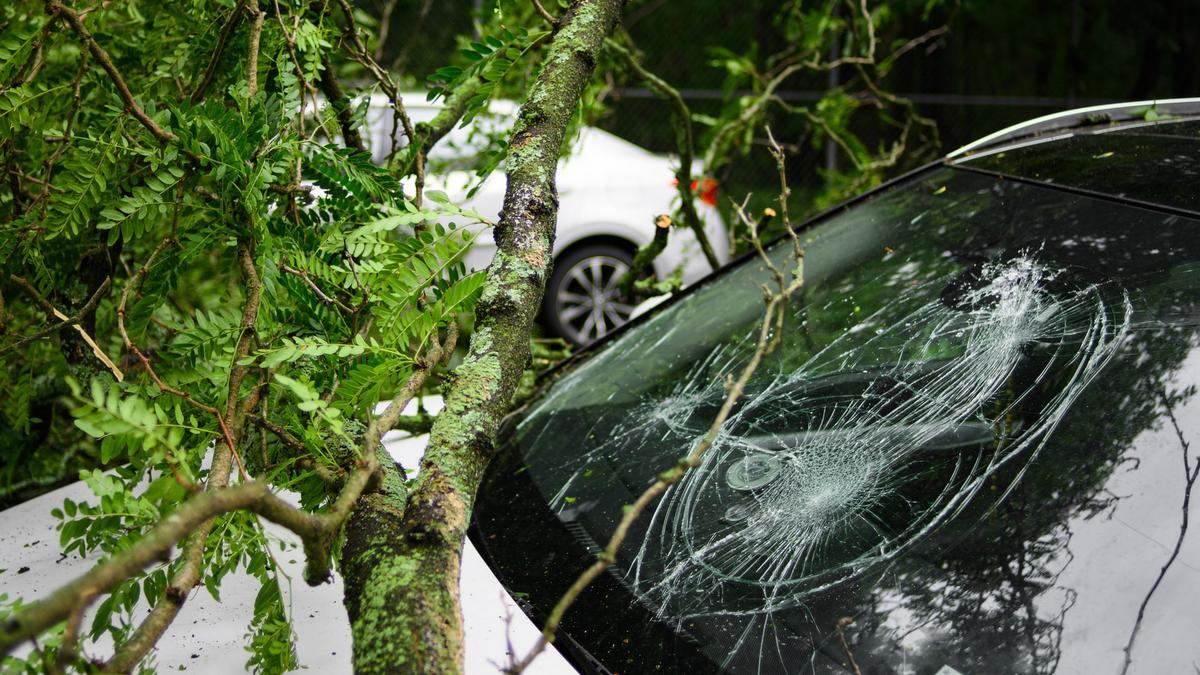 Homeowner blames AEP, tree service for damage to his property - Vimarsana News